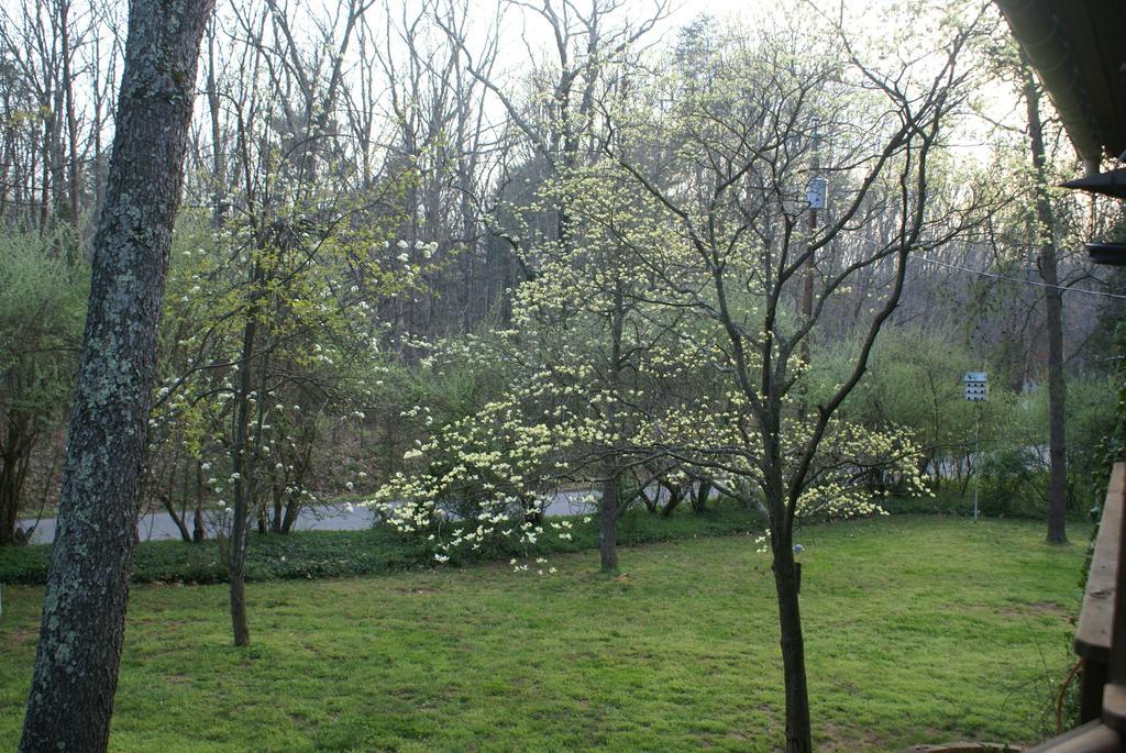 Ebenezer House Bed & Breakfast Burtonsville Экстерьер фото